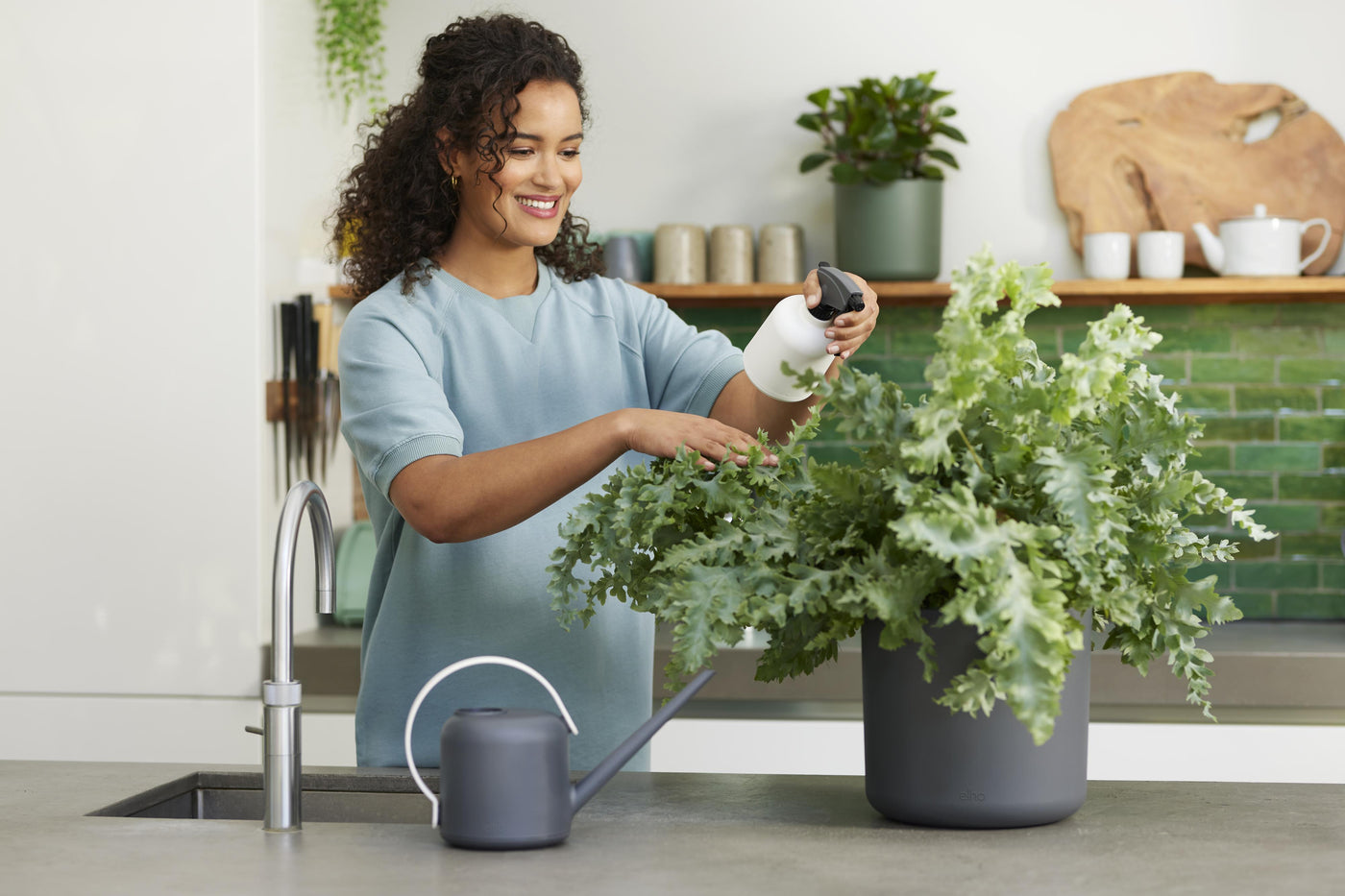 Soft Water Sprayer for Houseplants