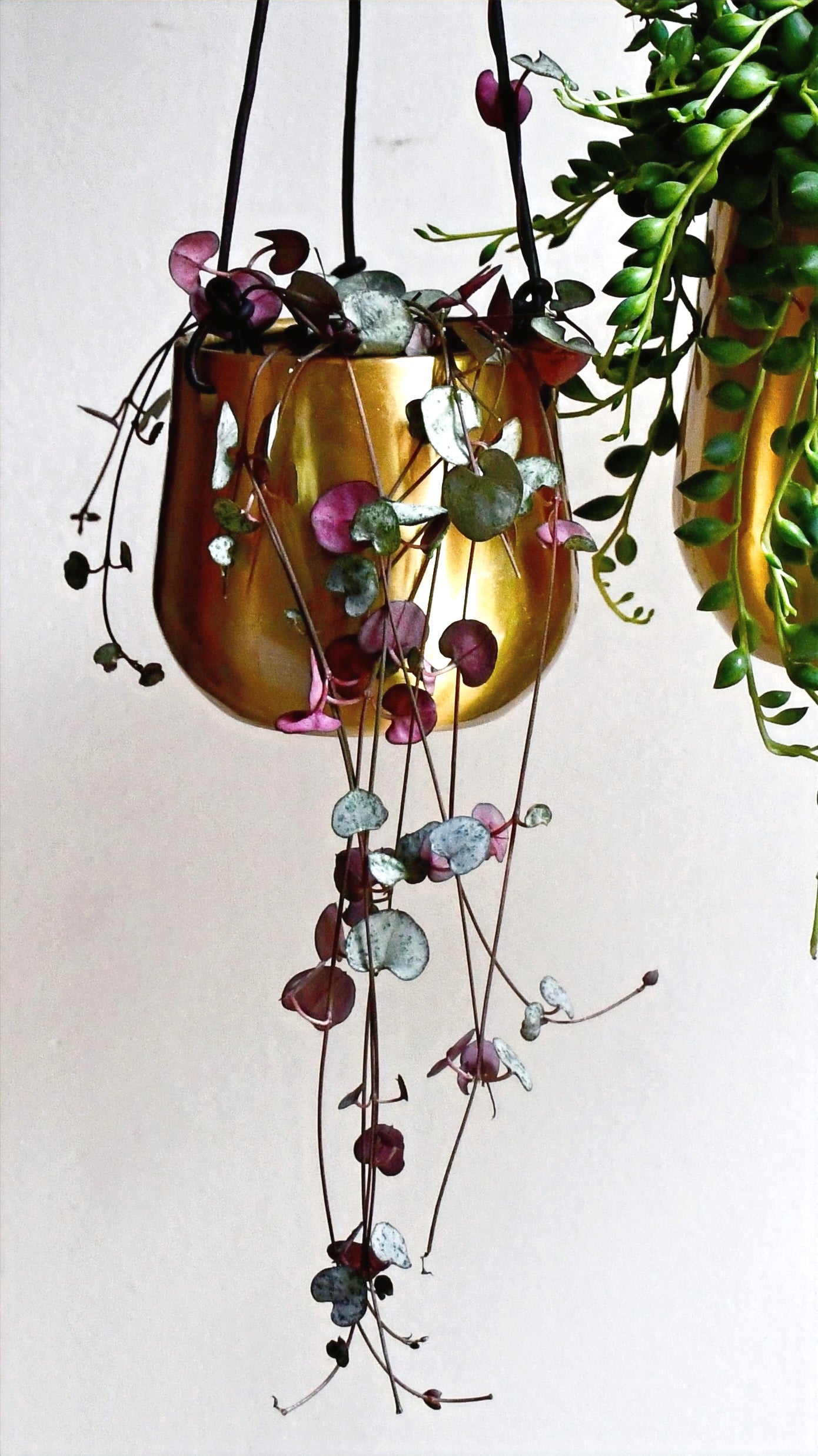 Hanging String of Hearts & Atsu Brass Hanging Planter