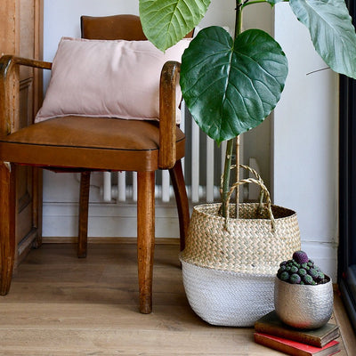 White Seagrass Planter