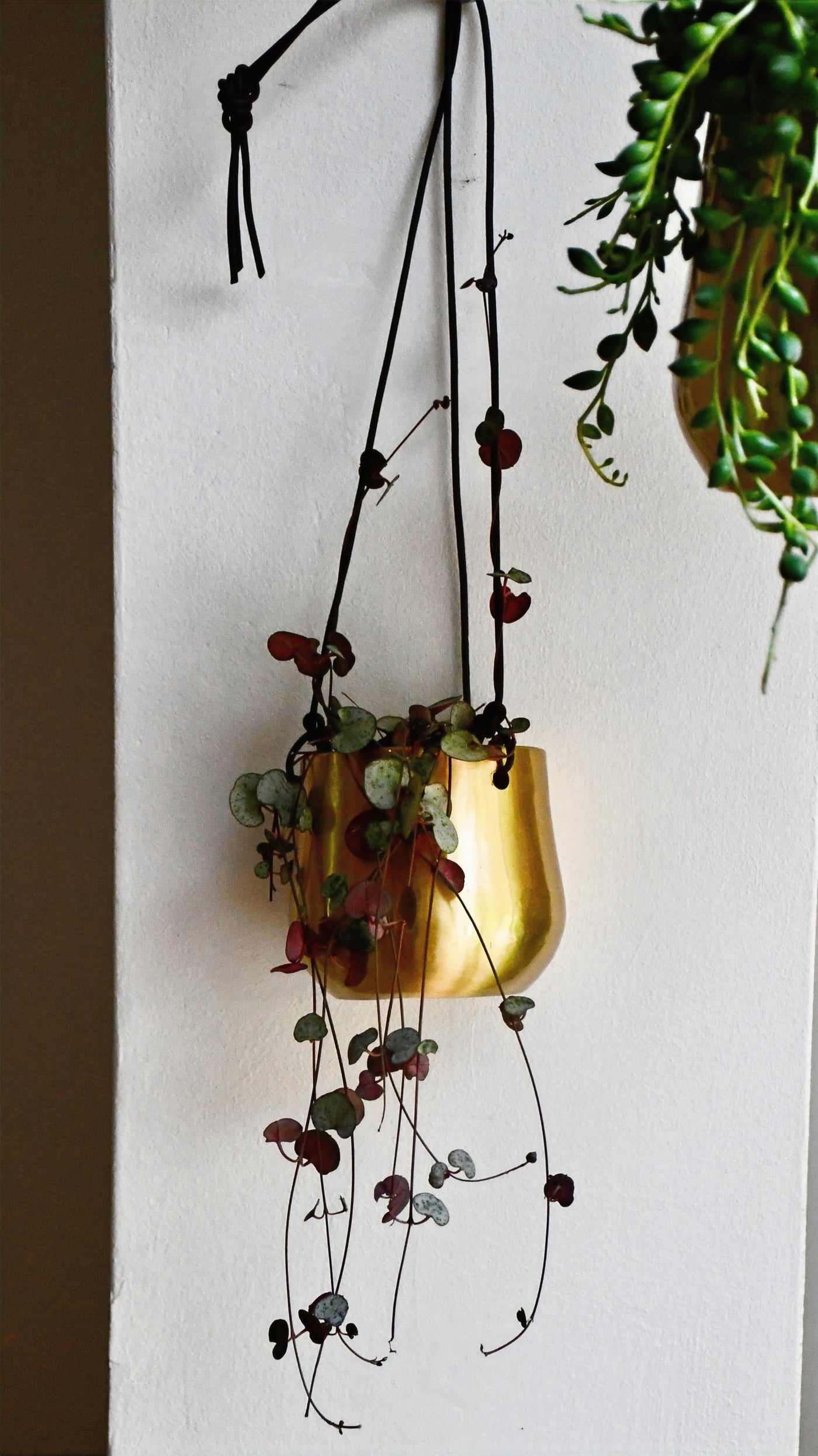 Hanging String of Hearts & Atsu Brass Hanging Planter