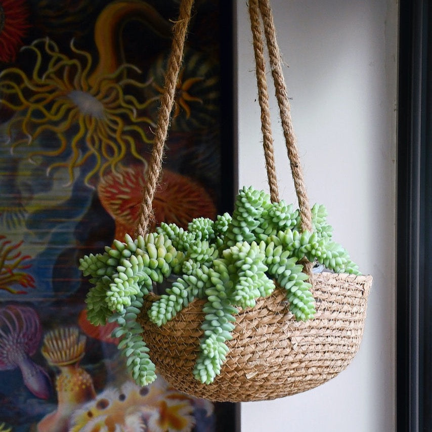 Natural Seagrass Hanging Basket