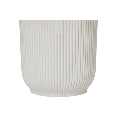 Philodendron Bipinnatifidum or Philodendron Hope & Pot