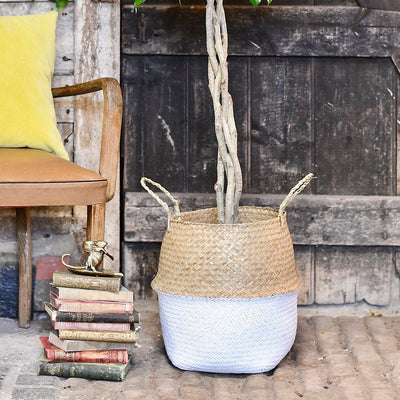 White Seagrass Planter
