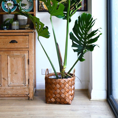 Natural Basket Planter - Brown 30cm