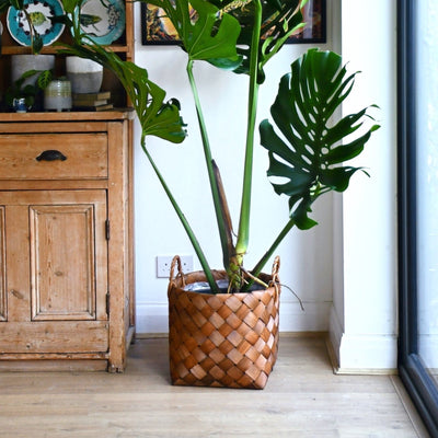 Natural Basket Planter - Brown 36cm