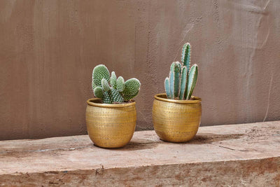Tembesi Etched Planter Large Brass
