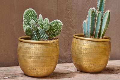 Tembesi Etched Planter Large Brass