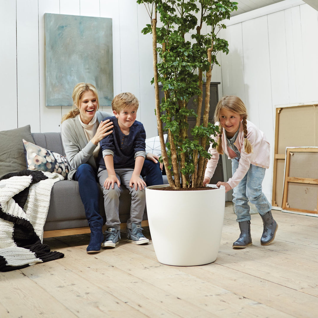 Brussels Round Plant Pot 40cm (Large Indoor Plant Pots) – Happy Houseplants