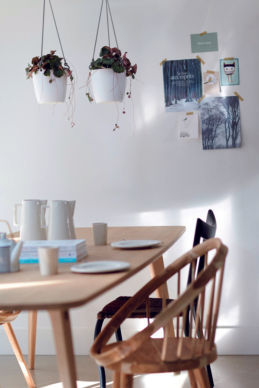 Philodendron Scandens & Brussels Hanging Basket