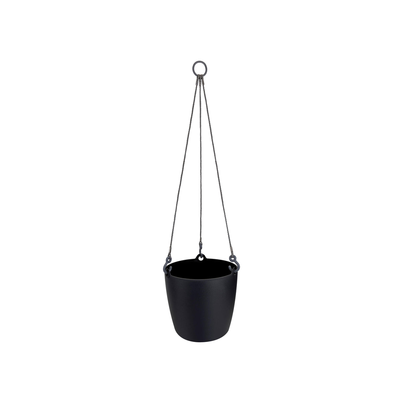 Philodendron Scandens & Brussels Hanging Basket