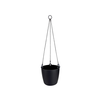 Philodendron Scandens & Brussels Hanging Basket