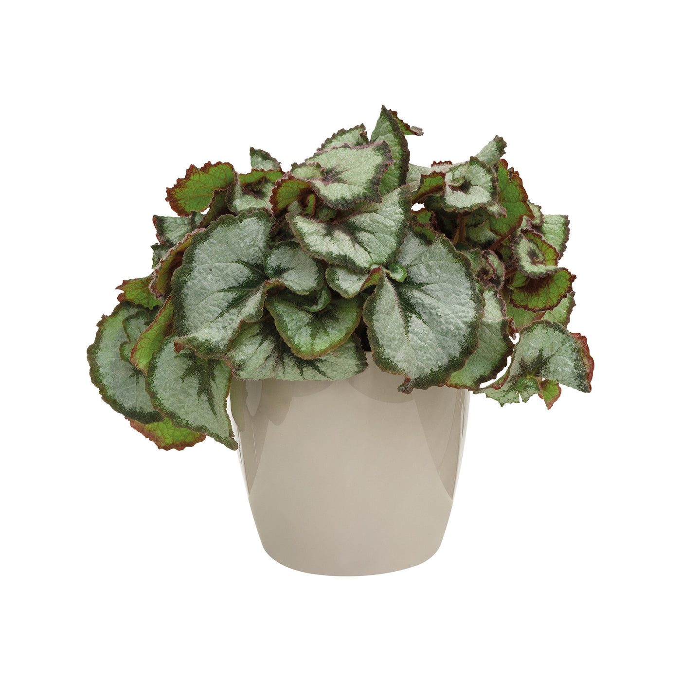 Brussels Round Plant Pot 14cm