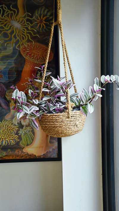 Natural Seagrass Hanging Basket