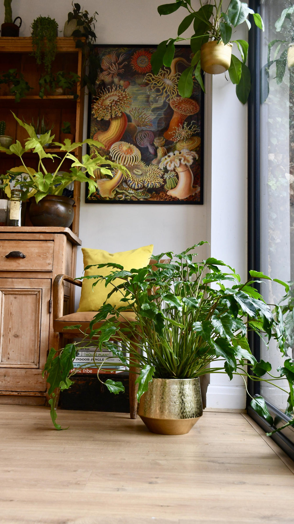 Small Office Plant Bundle with White Planters