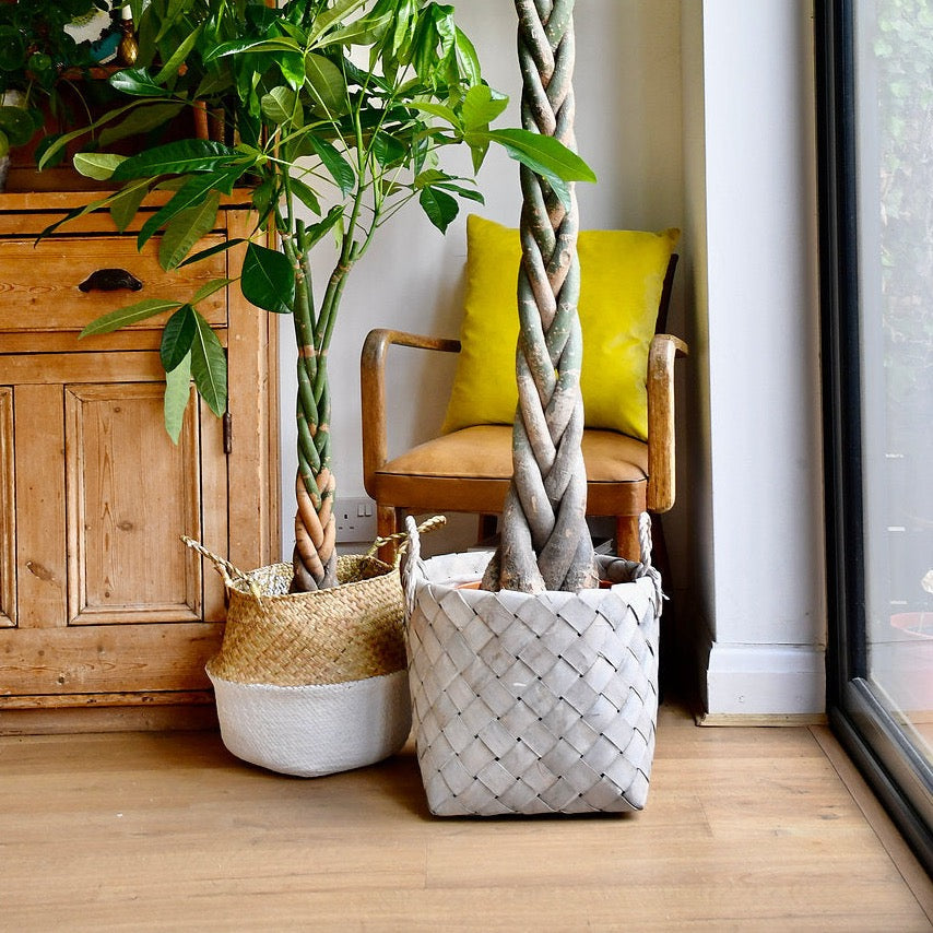 Natural Basket Planter - Grey 30cm
