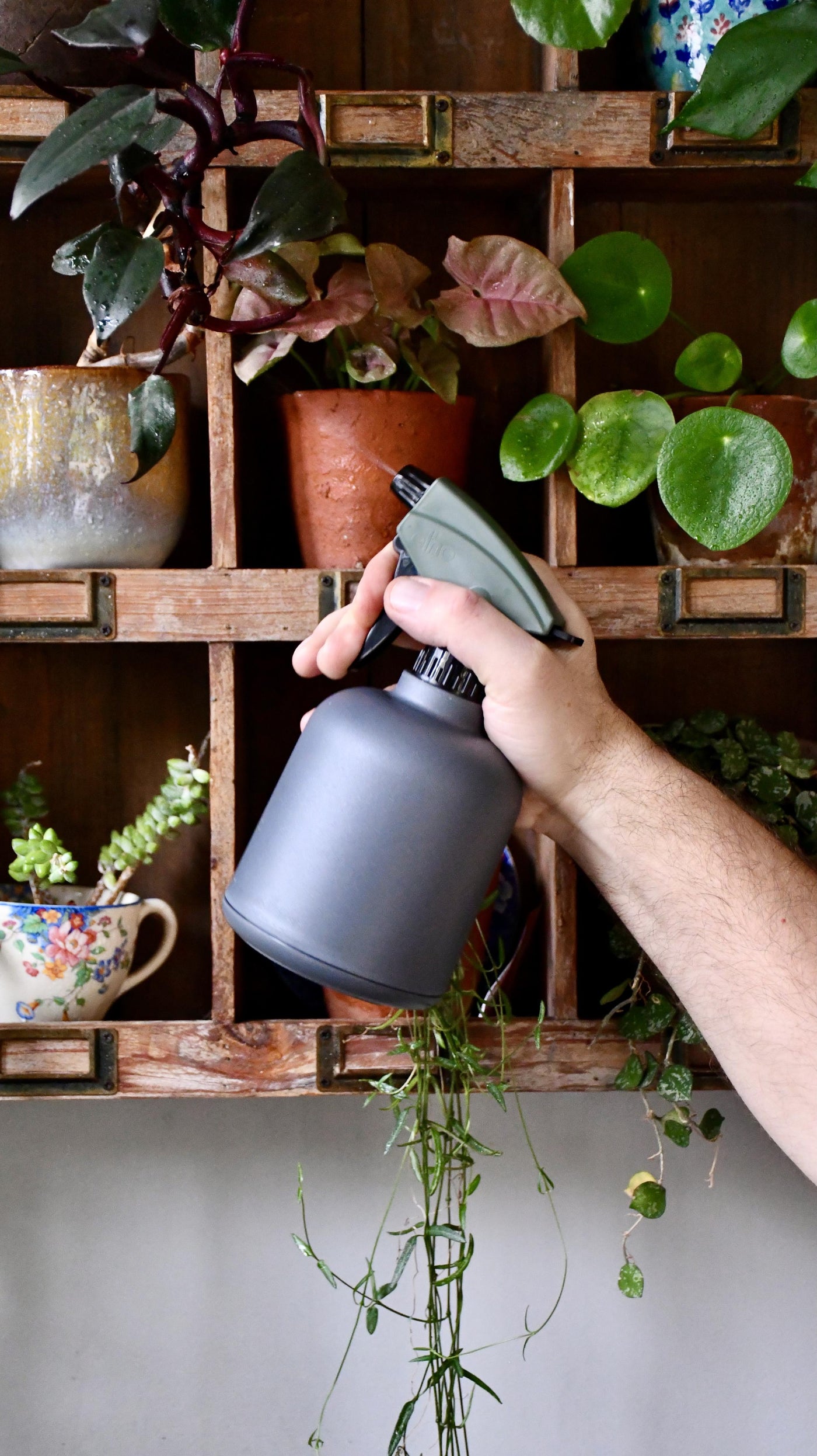 Soft Water Sprayer for Houseplants