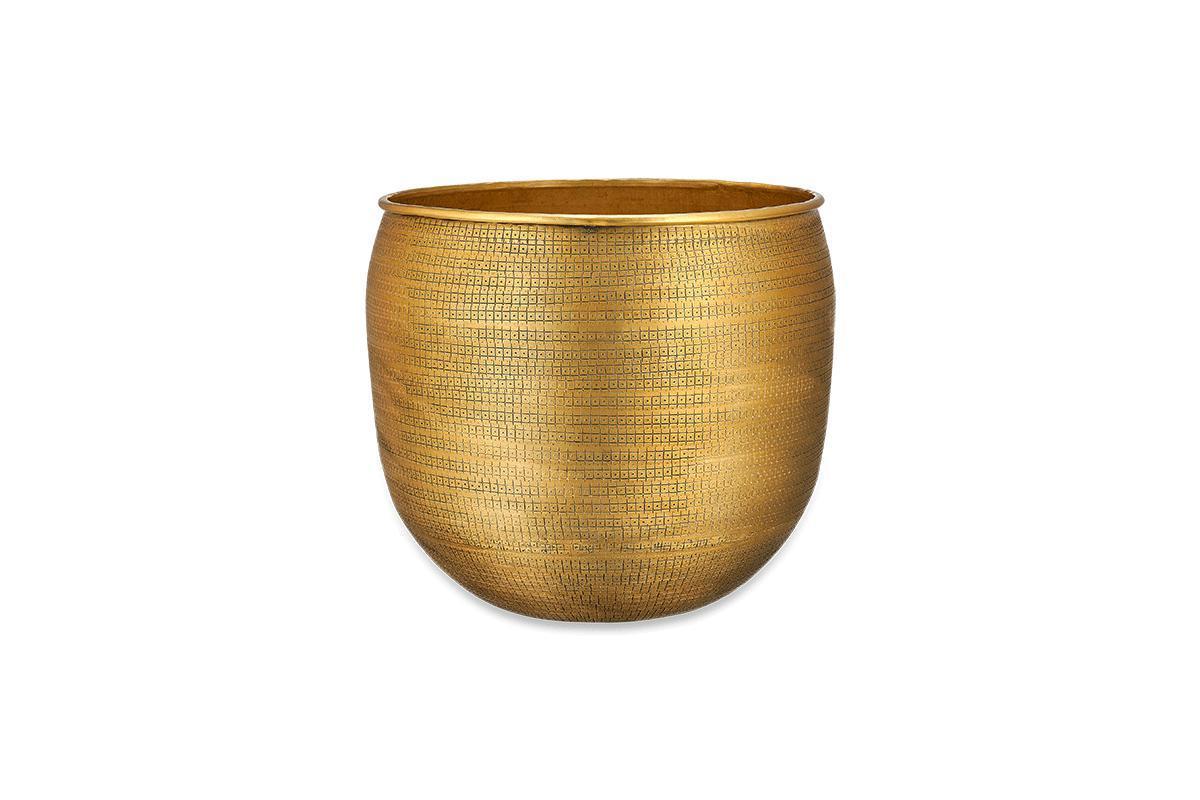 Calathea makoyana & Gold Tembesi Etched Planter