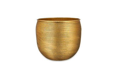 Calathea makoyana & Gold Tembesi Etched Planter