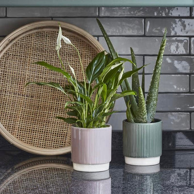 Athens Ceramic Reactive Glaze Indoor Ribbed Plant Pot Green (10.5cm pot)