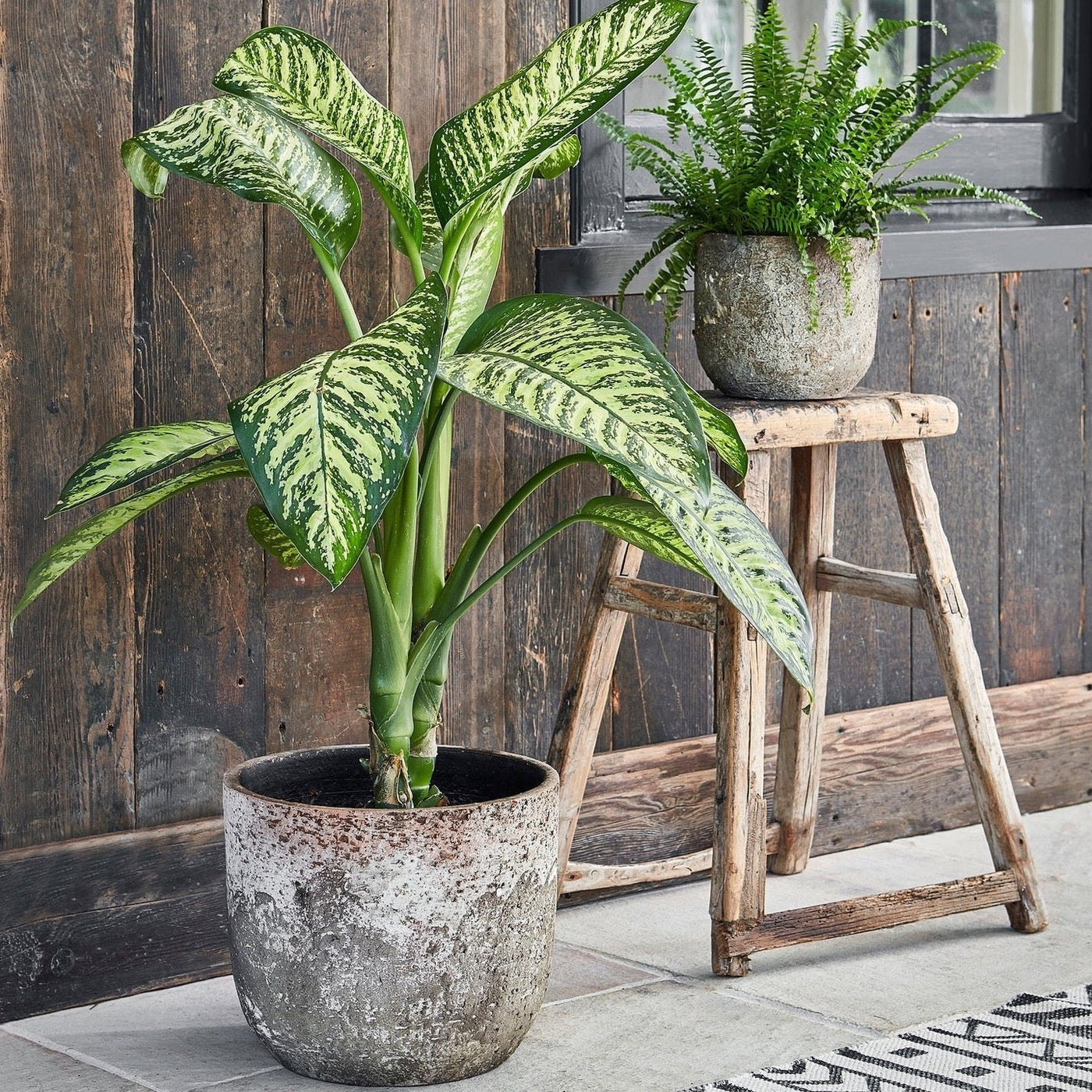 28cm plant pot Albero planter (28cm pot) – Happy Houseplants