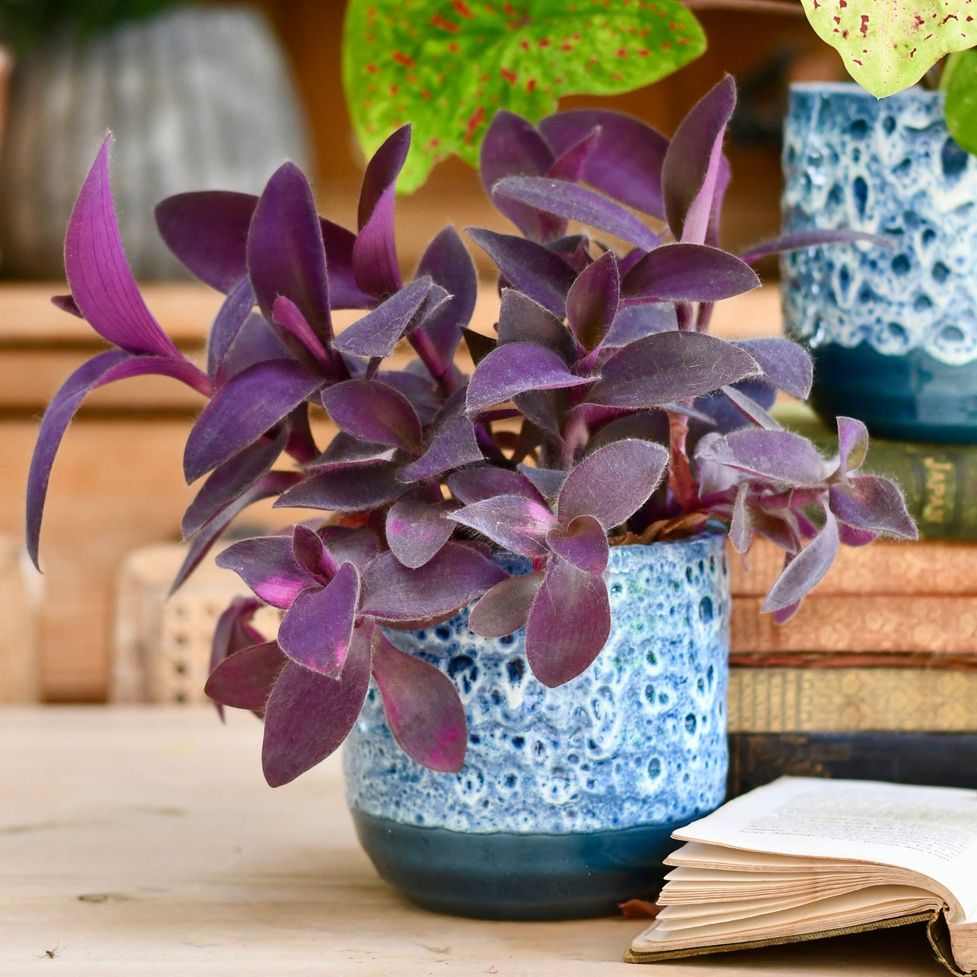 Indoor Ceramic Glaze Plant pot  (Sapphire 16cm Plant Pot)