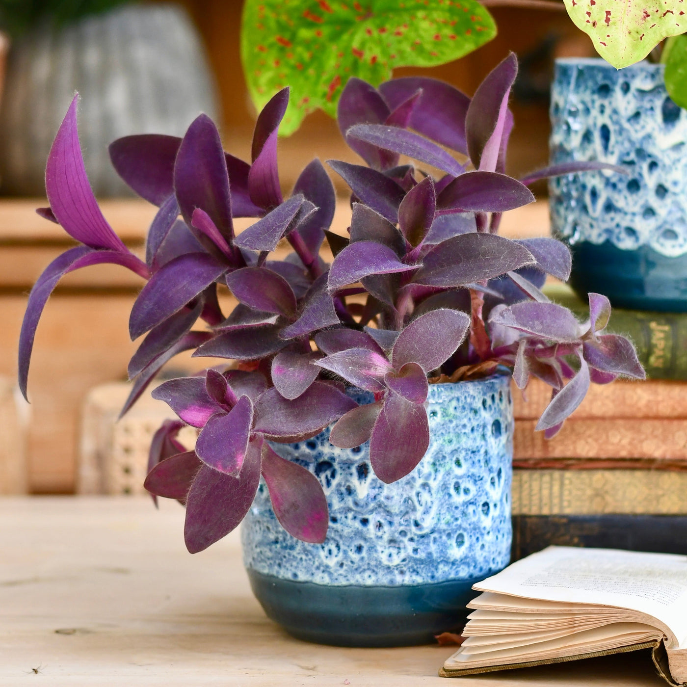 16cm plant pot Indoor Ceramic Glaze Plant pot (Sapphire 16cm Plant Pot) – Happy Houseplants