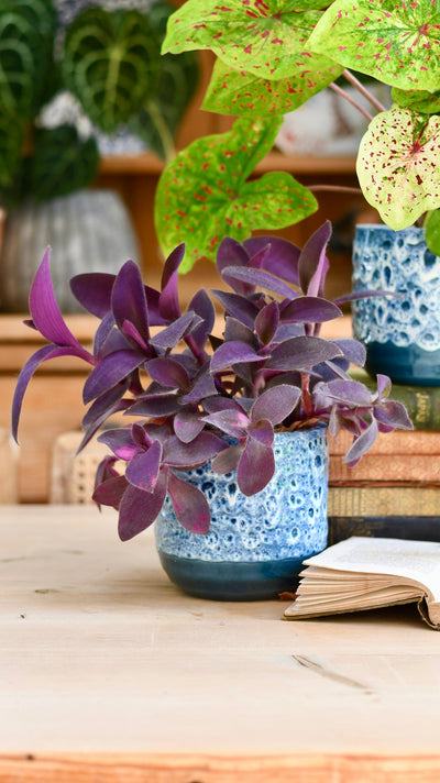 Reactive Glaze Planter (Sapphire 18cm Plant Pot)