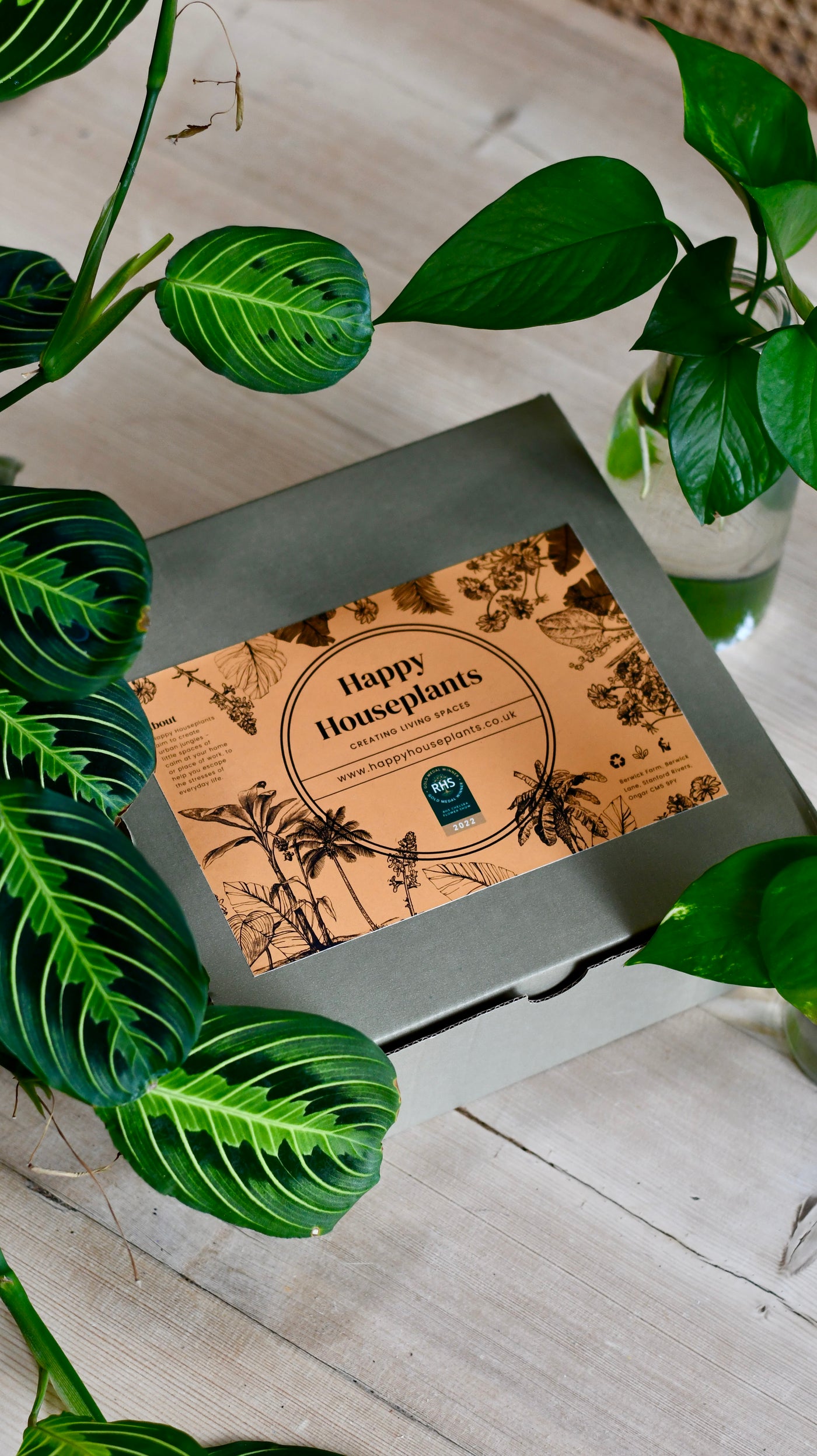 Vegan Cactus & Succulent Food Gift Box