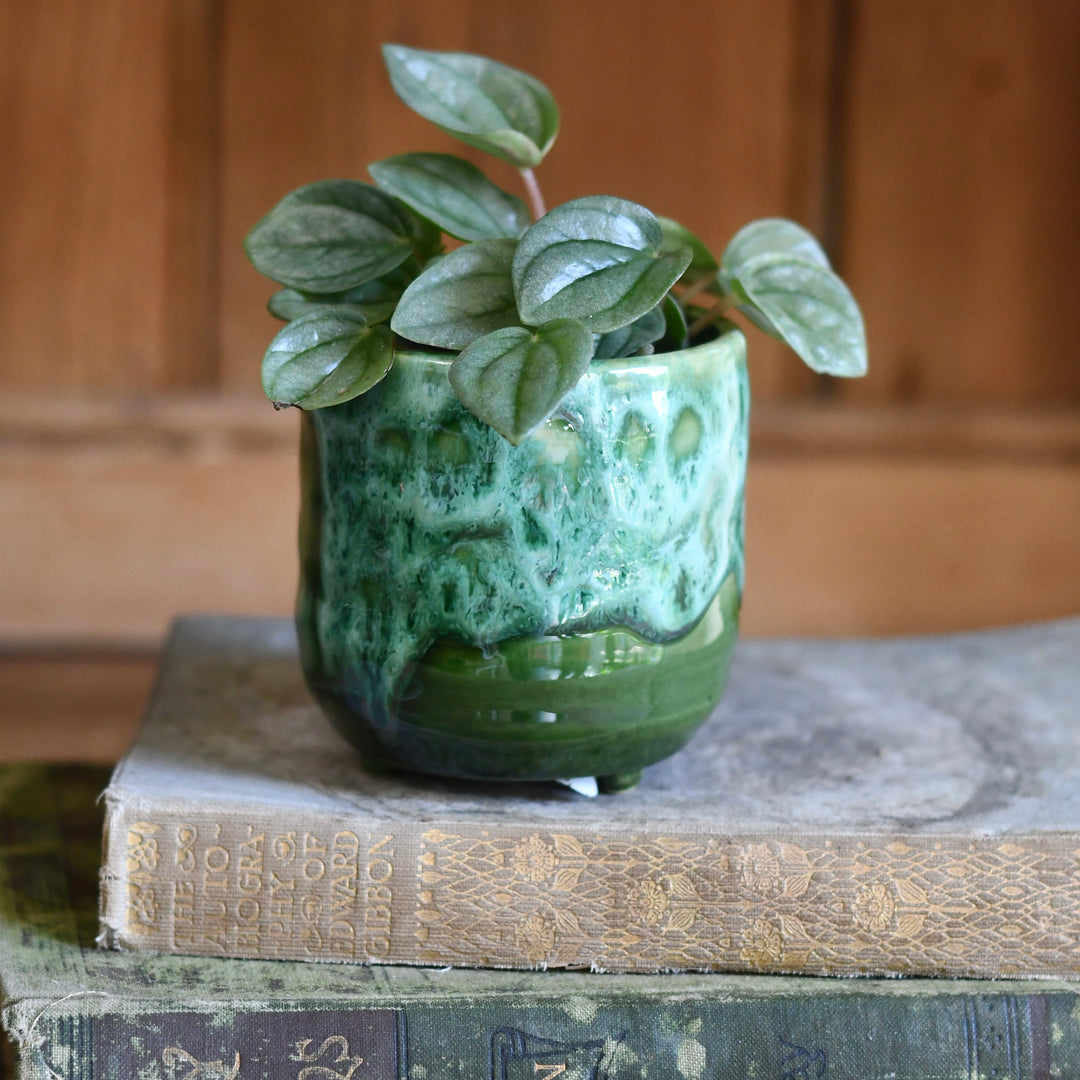 green ceramic plant pot Happy Houseplant | Pisa Emerald Planter | 7cm Pots