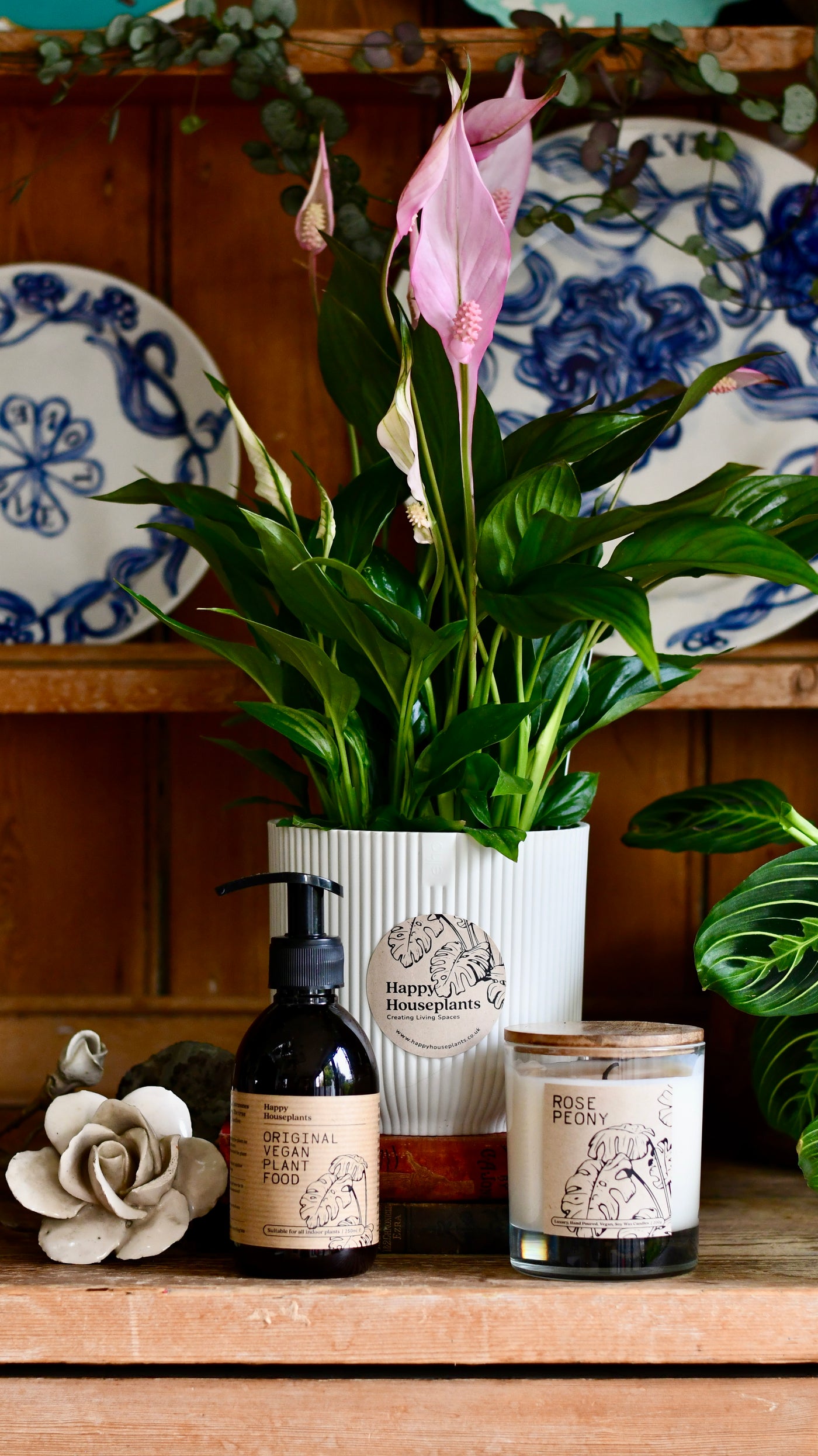 Spathiphyllum Bellini Plant Gift Set with White Elho Pot (Optional Scented Candle & Plant Food)