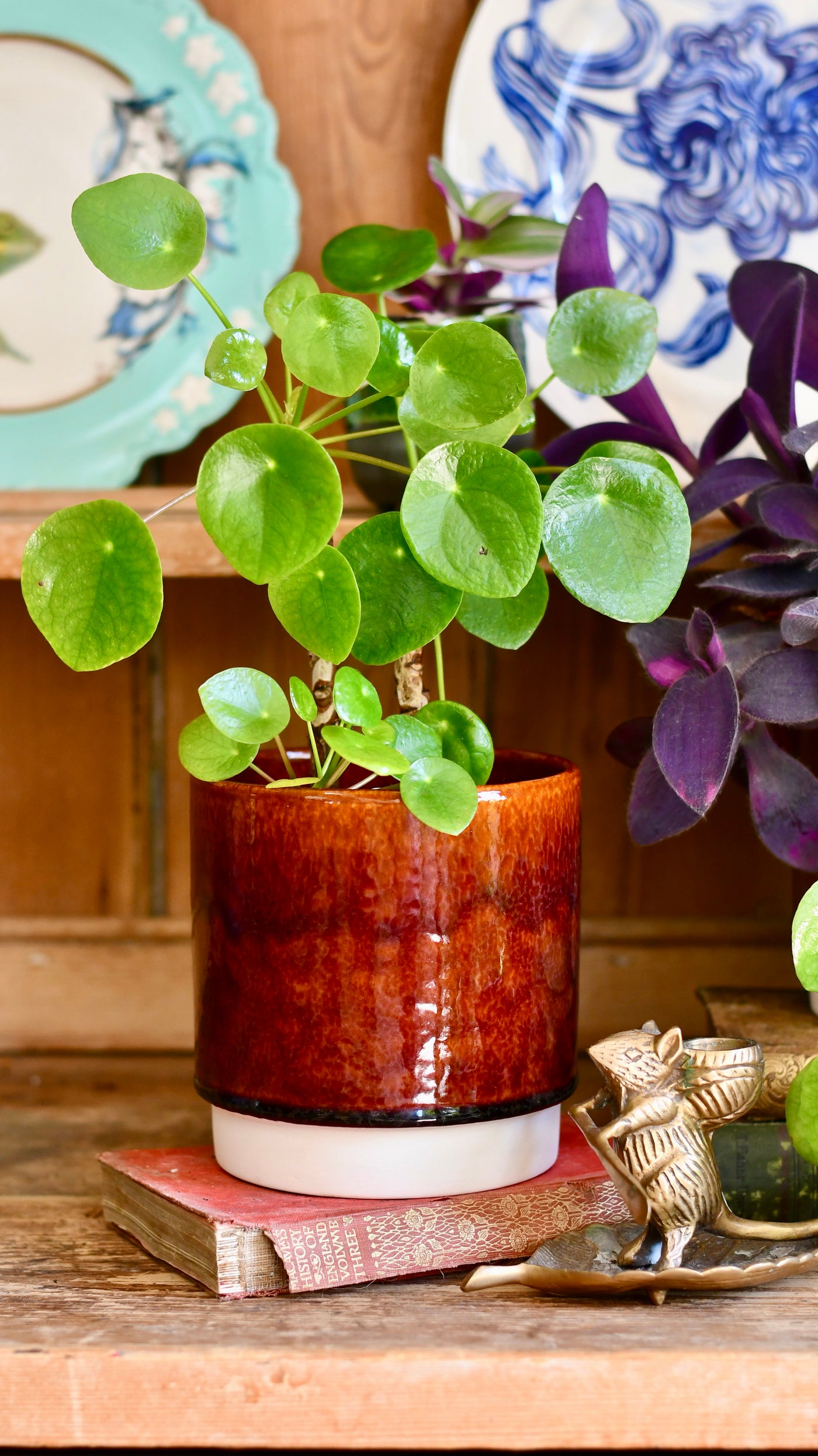 Amber Reactive Planter (13cm Plant Pot)