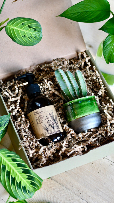 Vegan Cactus & Succulent Food Gift Box