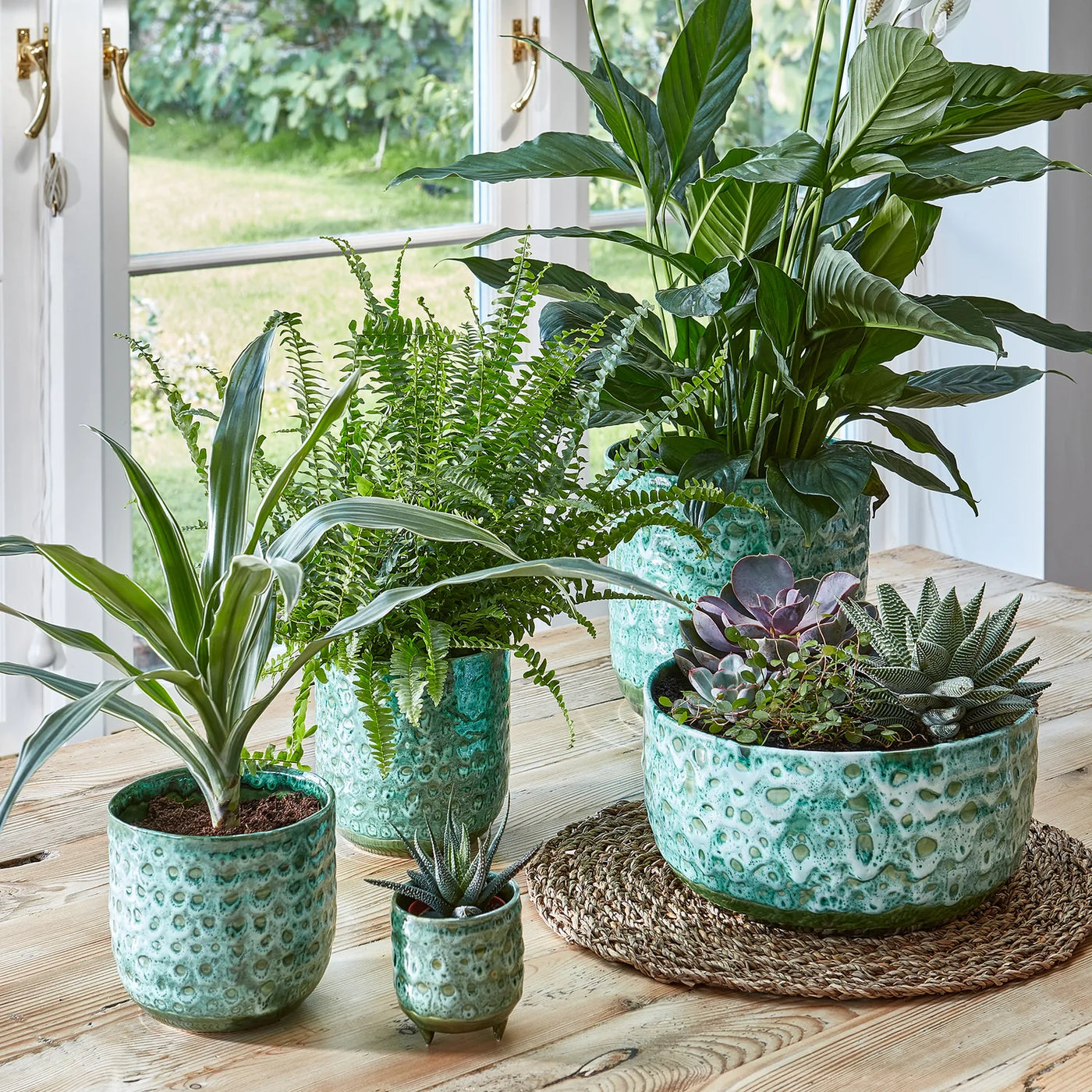 7cm plant pot Happy Houseplant | Pisa Emerald Planter | 7cm Pots