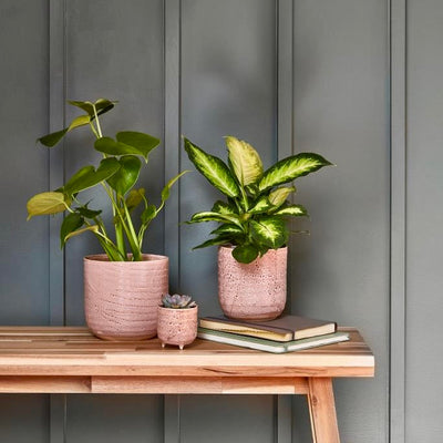 Ceramic Glazed Designer Indoor Plant Pot H16cm