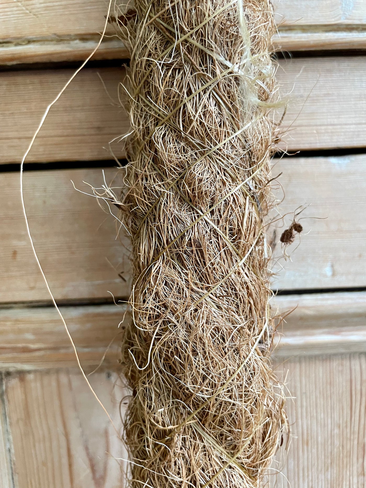 60cm Coir Pole (Moss pole, grow poles, plant poles, plant climber sticks)