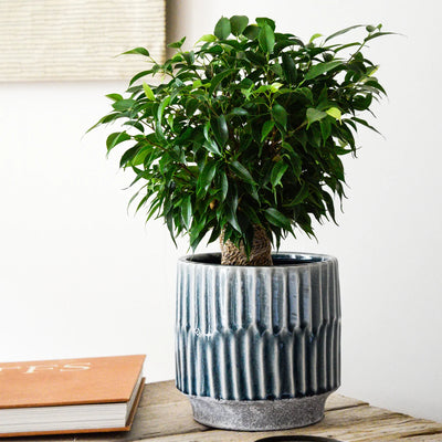 Premium Plant Pot | Onno Denim Ceramic Glaze Planter | 16cm Plant Pot