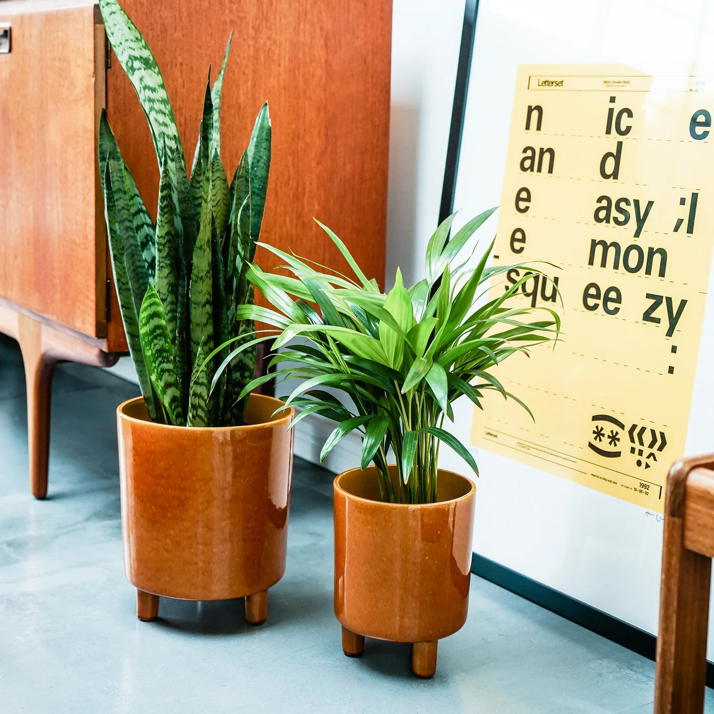 mustard plant pots indoor Happy Houseplants | Pisa Mustard Planter | 16cm Pots