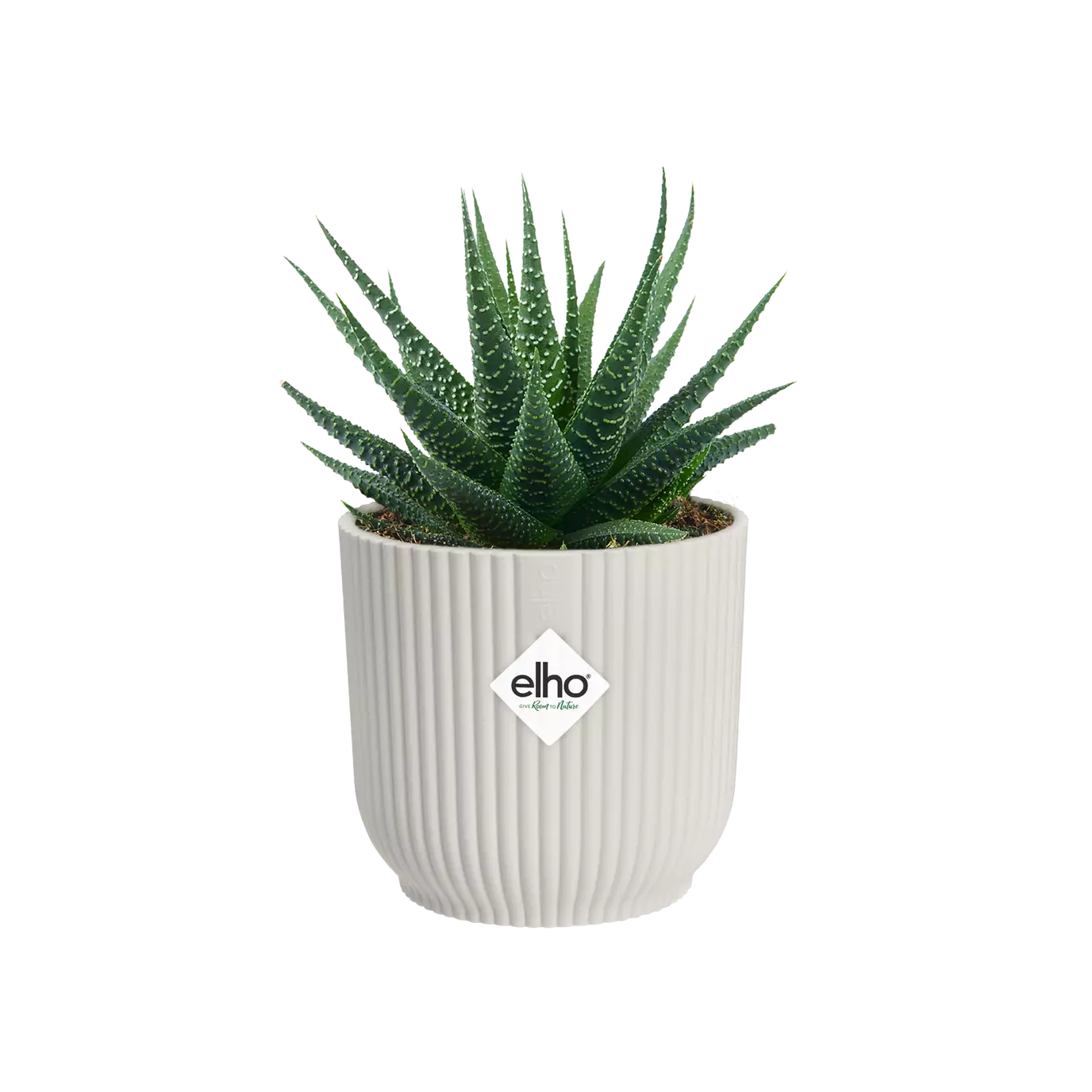 Silky White Vibes Round Mini Plant Pot 7cm