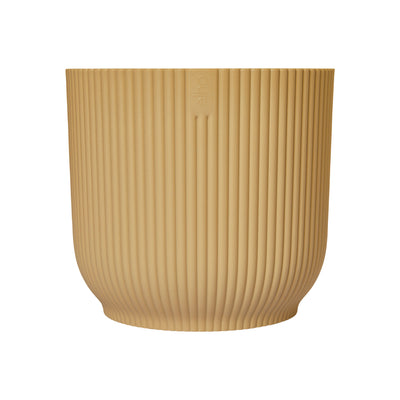 Tradescantia Nanouk & Vibes Pot